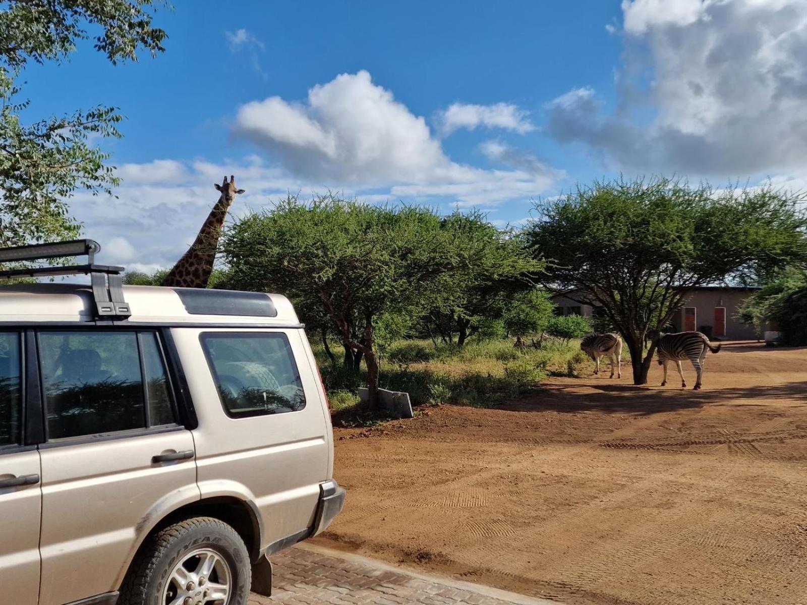 Thandolwami Bushlodge & Spa Hoedspruit Exterior foto