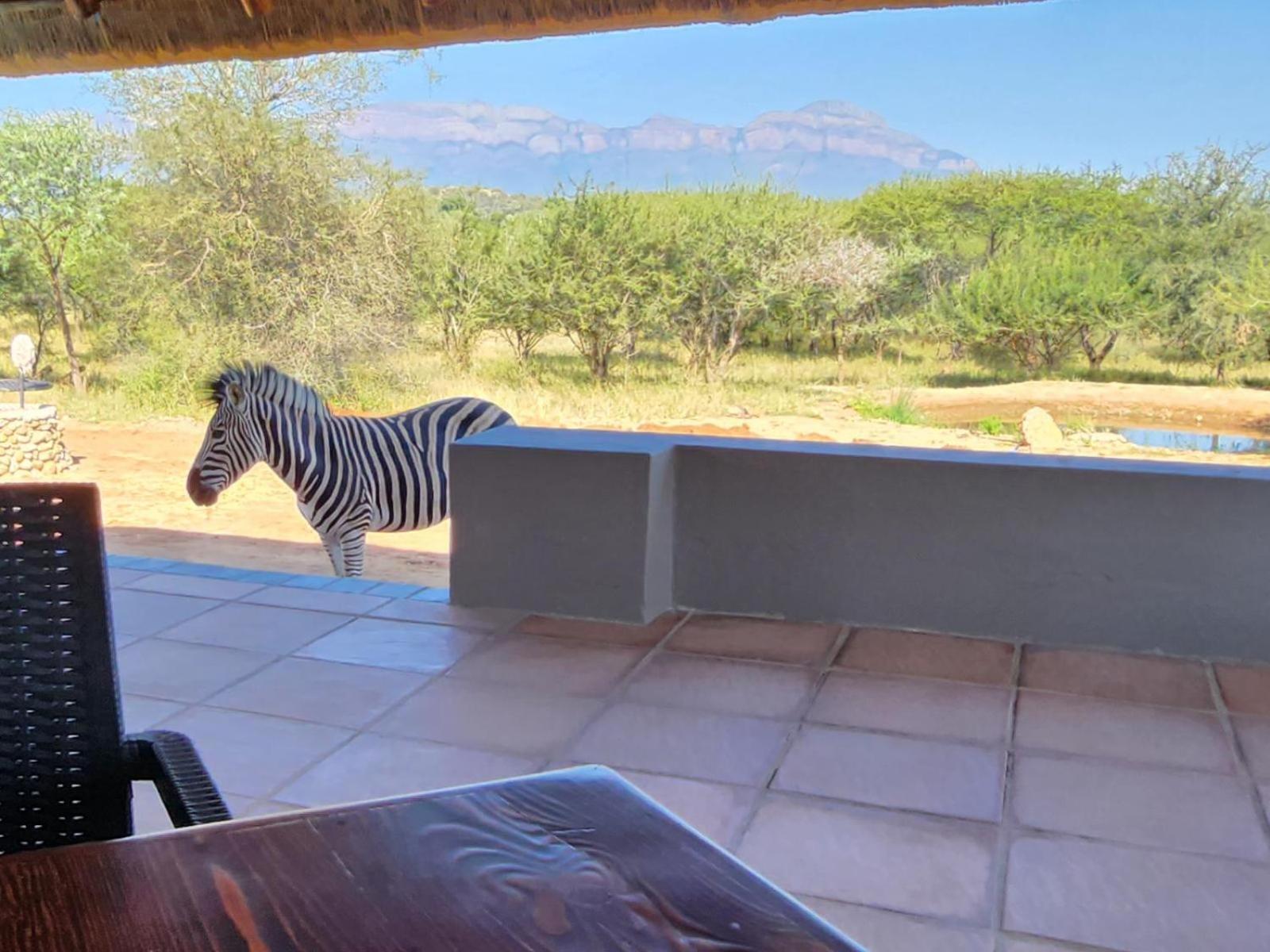 Thandolwami Bushlodge & Spa Hoedspruit Exterior foto